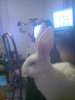 Image0367