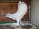 SAM_0185