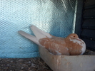 SAM_0272