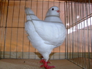 DSCF3725
