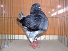 DSCF3728