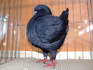 DSCF3735