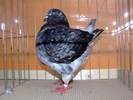 DSCF3738