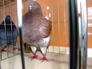 DSCF3742