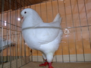 DSCF3745