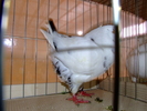 DSCF3748