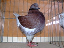 DSCF3749