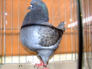 DSCF3751