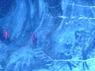 P1250134