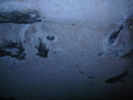 P1250178