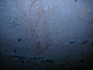 P1250179