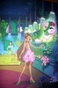 winx ro29