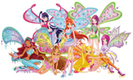 winx ro70