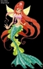 winx ro79