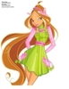 winx ro 7