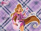 winx ro 13