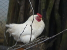P1110411