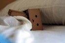 danbo14