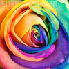 Colour_me_by_EliseEnchanted