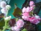 DSC03751