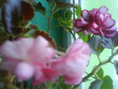 DSC03753