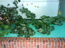 DSC03758