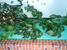 DSC03759