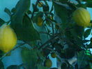 DSC03704