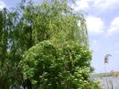 DSC02175