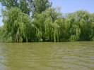 DSC03647