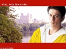 shahrukh_khan_kal_ho_naa_ho_08