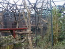 zoo Londra (4)