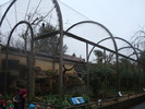 zoo Londra (7)