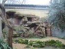 zoo Londra (9)