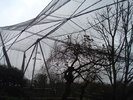 zoo Londra (55)