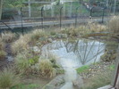 zoo Londra (58)