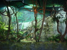 zoo Londra (65)