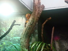 zoo Londra (69)