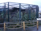 zoo Londra (93)