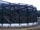 zoo Londra (97)