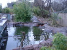 zoo Londra (99)
