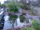 zoo Londra (100)