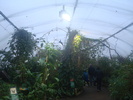 zoo Londra (107)
