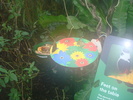 zoo Londra (108)