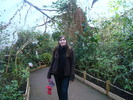 zoo Londra (117)