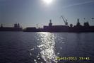 DSCI0631