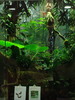 zoo Londra (128)