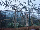zoo Londra (130)