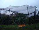zoo Londra (132)