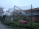zoo Londra (147)